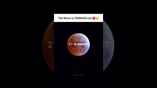 The Moon Is About to Turn Red 🔴😳