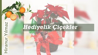 Hediyelik Çiçekler