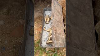Celebrity opening a #chest full of gold //open a #box full of #gold with a #metal #detector #treasurediscover Wealth