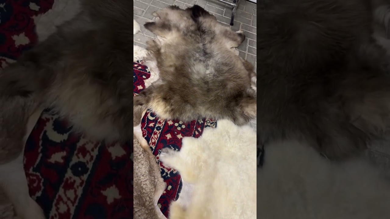 19 января 2026 г.