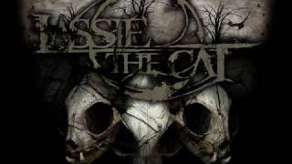 Lassie the Cat - Acis