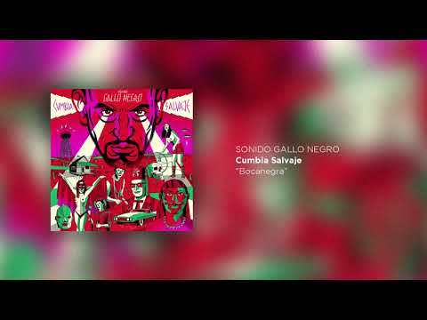 Sonido Gallo Negro