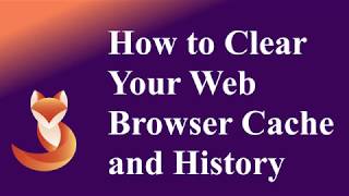 How to Clear Your Web Browser Cache and History. screenshot 3