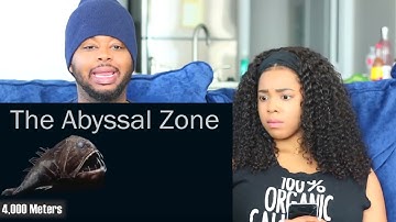 D&B ENT - The Ocean Is Way Deeper Than You Think by RealLifeLore | Reaction