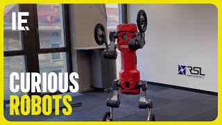 Are We in the Age of Curious Robots? by Interesting Engineering 2,424 views 11 days ago 1 minute, 32 seconds