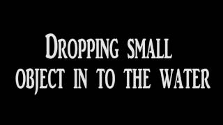 Dropping small object into the water