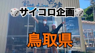 【サイコロ企画】前回の動画おかしいので急遽作りました問い合わせてみます