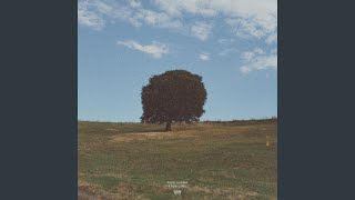 Saklı Sayfalarda Kayıp Zamanlar