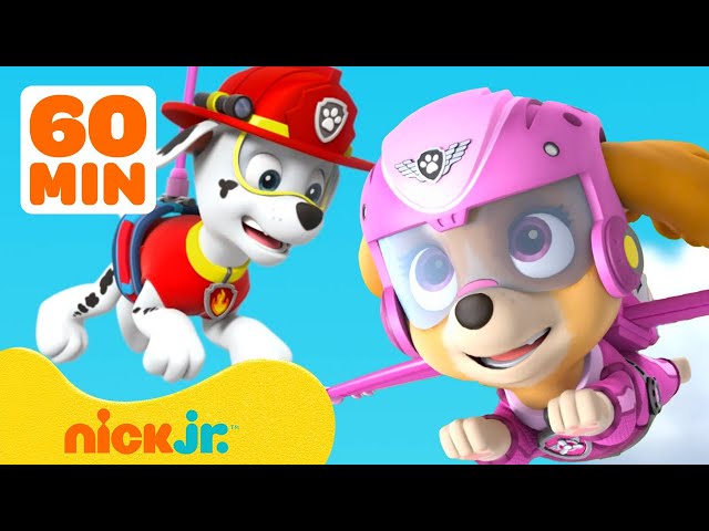 PAW Patrol Feels Big Feelings! 💗 1 Hour Compilation | Nick Jr. class=