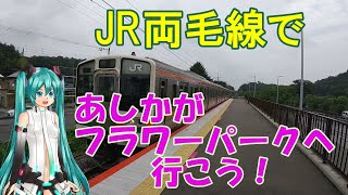【鉄道ミニ劇場】JR両毛線であしかがフラワーパークへ行こう！