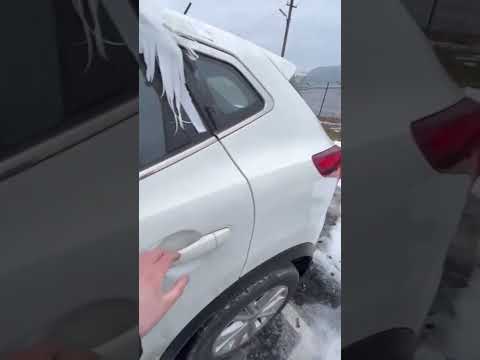 Клуб «Штурман». Выкуп/доставка/оформление авто из США. 8 861 202 58 39 (shturman.club). Краснодар.