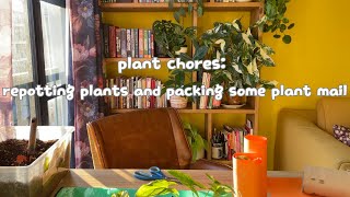 plant chores: repotting plants and packing some plant mail 🌱📦