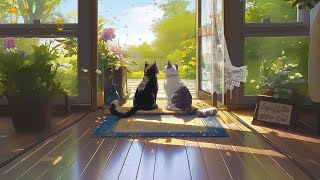 Lofi With My Cat || Cat & Happy Melody Playlist😸💌 Lofi Music - Lofi Vibes 🎼🎶Calm Your Anxiety