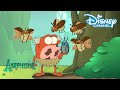 Amphibia | Les épreuves du maire | Disney Chanel BE