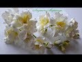 МК Фрезия из фоамирана! Часть №1 Freesia from fomirinasvoim hands