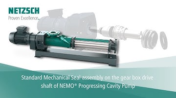Assembly of connecting shaft on the gearbox drive: NETZSCH NEMO® Progressing cavity pump assembly