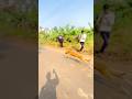 Dog race kolhapur || kolhapur dog racing|| dog racing maharastra|| #shortsvideo #youtubeshorts