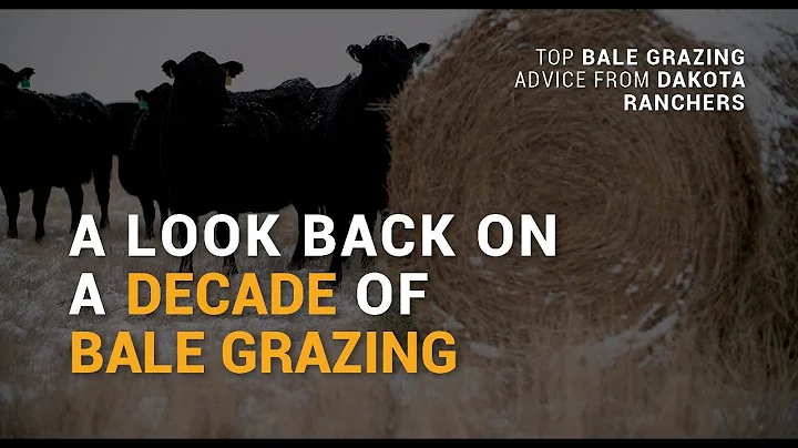 10 A Look Back on a Decade of Bale Grazing (Gaugler)