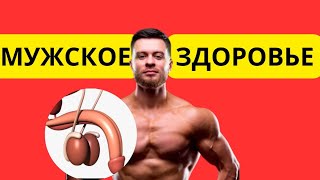 МУЖСКОЕ ЗДОРОВЬЕ | ПРОБЛЕМЫ С ЭРЕКЦИЕЙ | БЕСПЛОДИЕ И ДРУГИЕ ПРОБЛЕМЫ