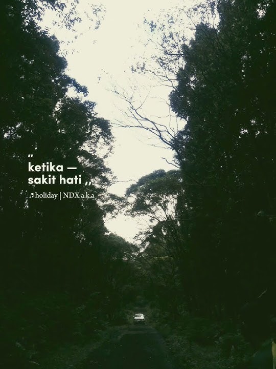 holiday NDX a.k.a.       #status #story