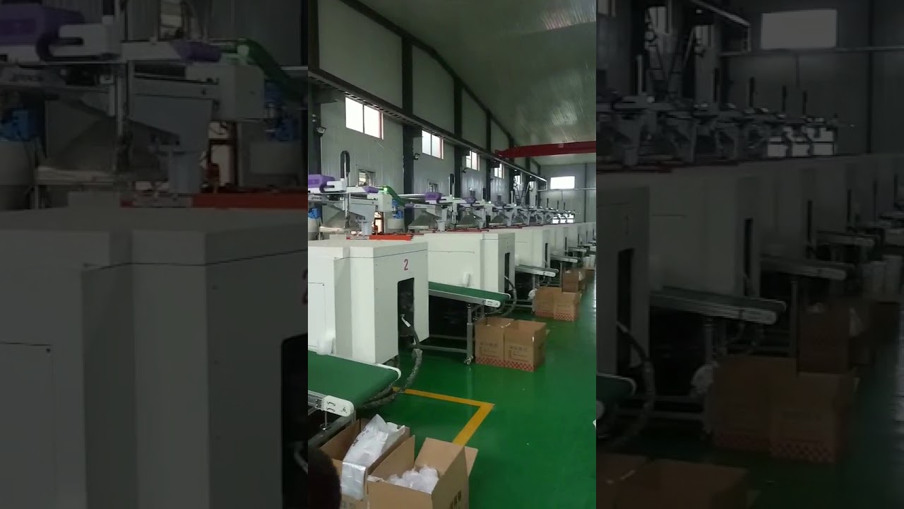 Disposable food packaging container workshop, injection machine, LISONG high speed machine