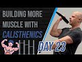 Building muscle w calisthenics 23 2 exercises for bigger arms