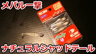 あえて動きすぎないからこそ釣れる！話題のライトゲーム用ワームをご紹介！！