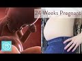 24 weeks pregnant what you need to know  channel mum