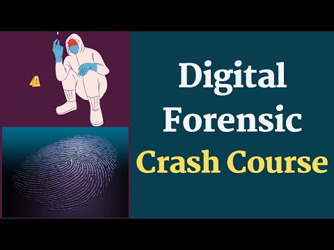 Digital Forensic Crash