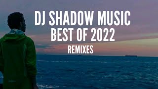 BEST OF 2022 • DJ Shadow Music (Remixes)