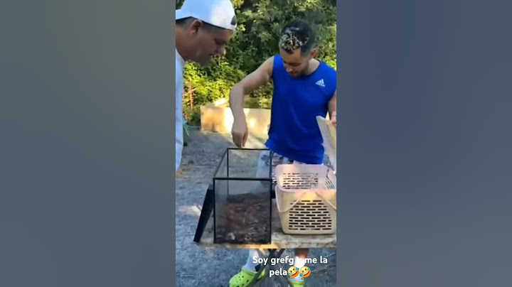🐍Serpiente muerde a TheGrefg en el santuario de Frank y así reacciona🤣 #grefg #thegrefg #frankcuesta