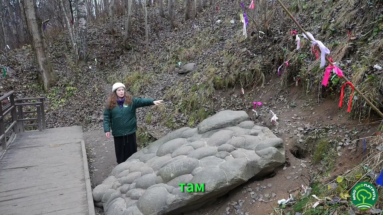 Коломенское 10.11.25 г.