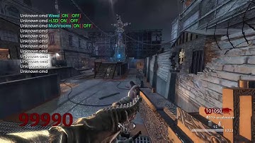 World at War Mod Menu dvar v5