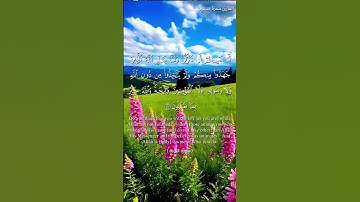 سورة التوبة و،،كا؛نك تسمعها لأو..ل مر.ة 💜🌻؛🏵️؛؛💞🌷💗💟بصوت الشيخ حمزة مد بوح 💮❤️..🧡💞؛،💚،.💔