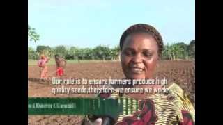 Download Lagu Seeds of change - a CABI food security project MP3