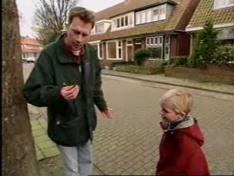 Willem Wever (1992) : Hoe komt het dat een vuurpij...
