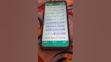 سورة النساء الآية 124 سعد الغامدي