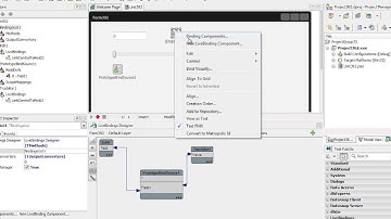 Jim Tierney - C++ LiveBindings Bind Sources and Adapters