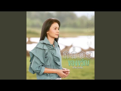 กล่องของขวัญ (Cover Version)