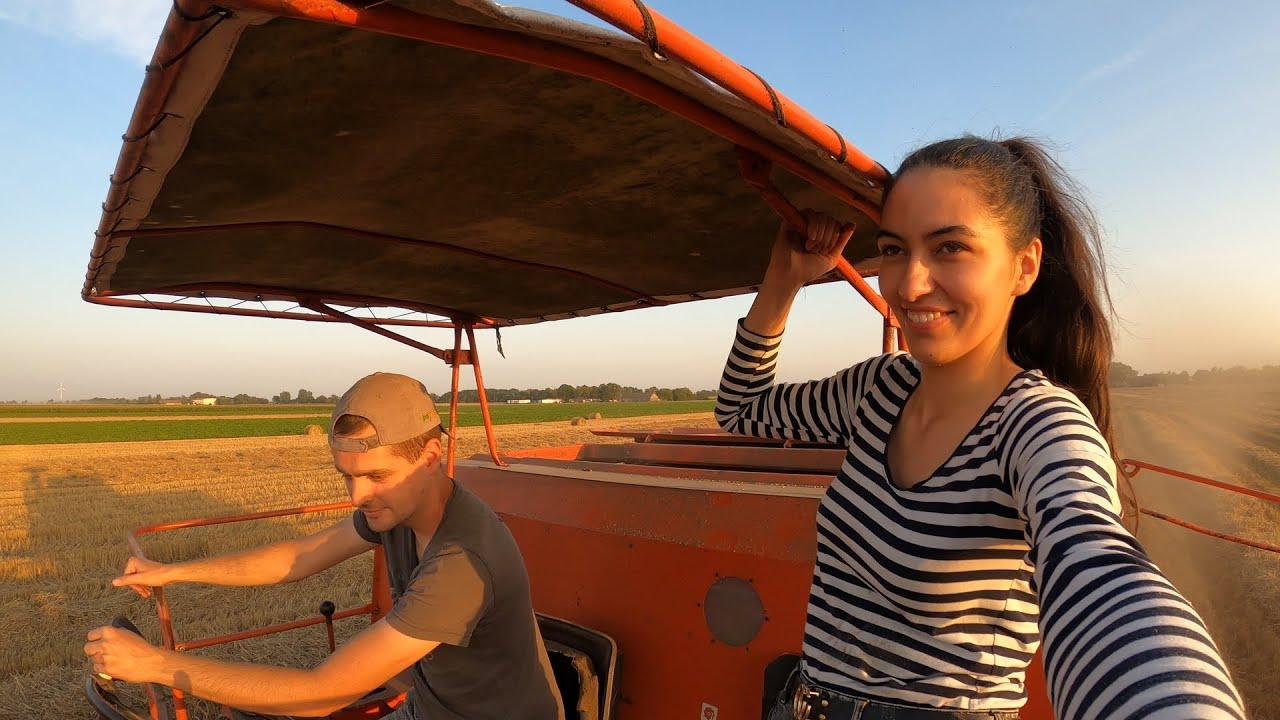 Ile zarobię na pszenicy? - Żniwa