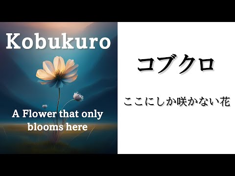 【歌ってみた】コブクロ／ここにしか咲かない花 （平蔵 cover）