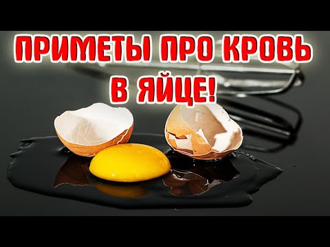 Почему кровь в яйце согласно народным приметам про яйца