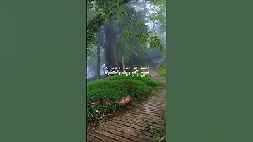 سورة النصر | تلاوة خاشعة