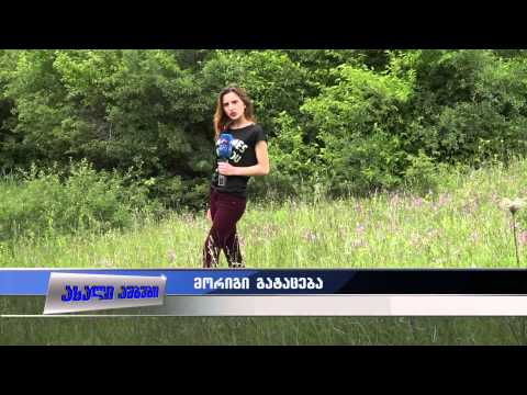 სად იმყოფება ბერშუეთიდან გაუჩინარებული მამაკაცი 03.06.2015