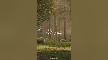 قال تعالى {وإذا سألك عبادي عني فإني قريب أُجيب دعوة الداعِ إذا دعان} سورة البقرة