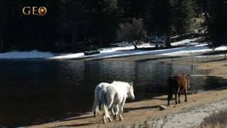 Villa Pehuenia - Neuquén - Invierno - Geo viajes &amp; aventura 72