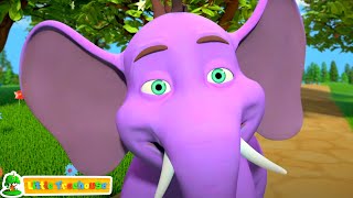 happy elephant song more animal learning nursery rhymes baby songs