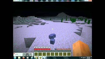 How to duplicate any item on minecraft 1.2.5