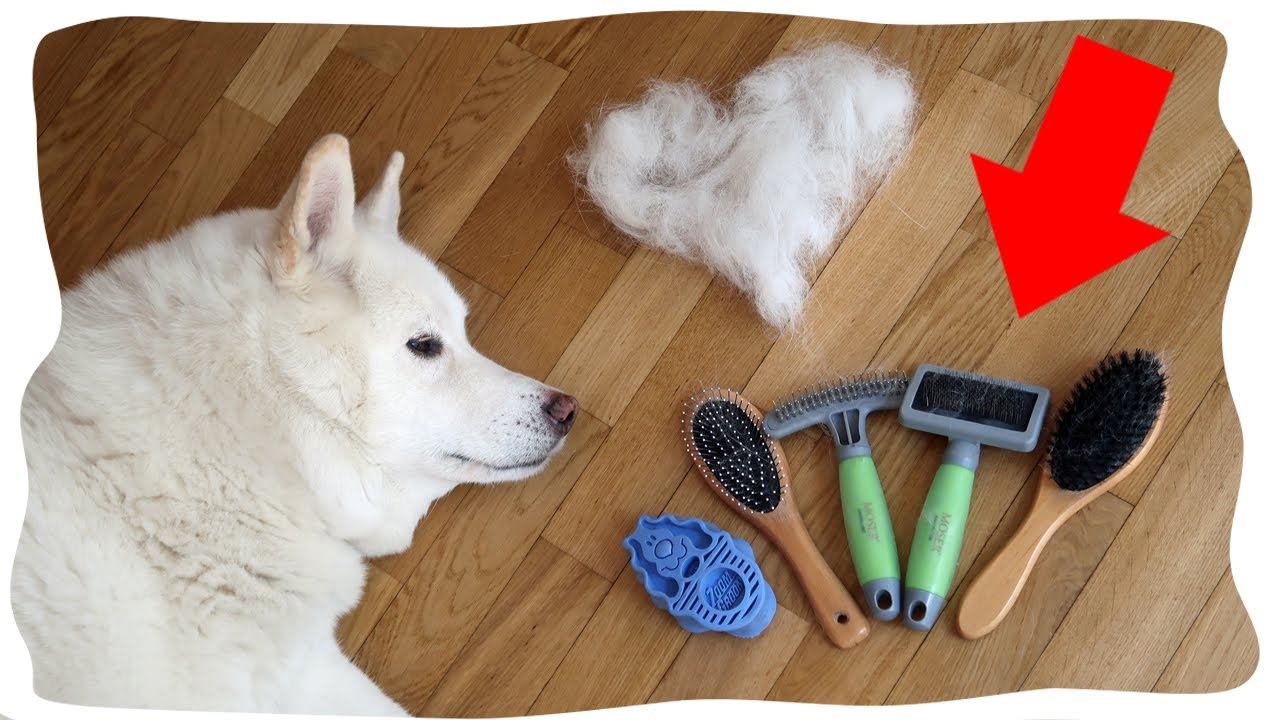 Tajemství Shadowova Hebkého Kozíšku