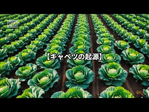 二重活用ガーデニングで失敗しない植物選びの3つのコツ